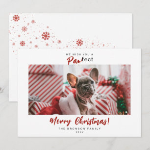 Festes Foto Pet Frohe Weihnachtsschrift Feiertagskarte