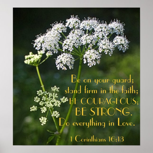 Festhalten an der Glaubensbibel als Plakat (Vorne)