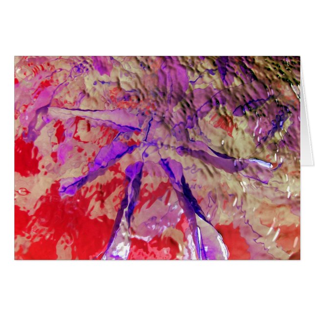 Festival Digital (Vorderseite (Horizontal))