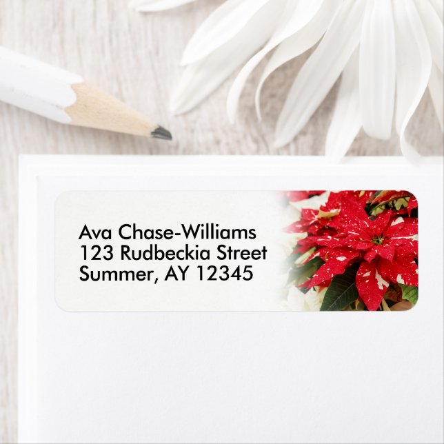 Festival Rotes Weißes Blumengestein (Insitu)