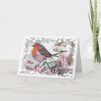 Festivals Robin Christmas Card Feiertagskarte