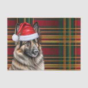Festliche belgische Tervuren Dog Karierte Weihnach Seidenpapier