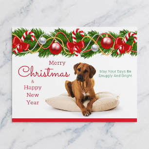 Festliche Rhodesian Ridgeback Weihnachtspostkarte Feiertagspostkarte