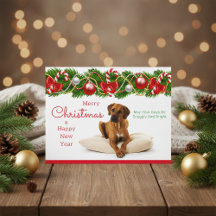 Festliche Rhodesian Ridgeback Weihnachtspostkarte