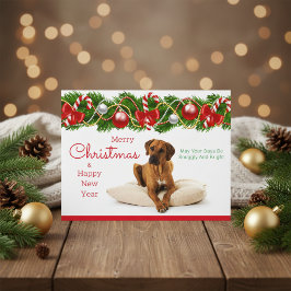 Festliche Rhodesian Ridgeback Weihnachtspostkarte Feiertagspostkarte