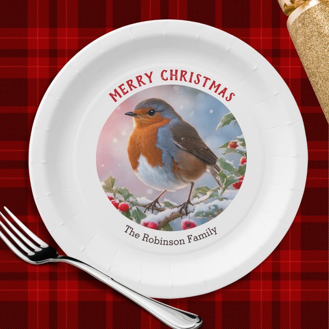 Festliche Winter Robin Hübsch Watercolor Weihnacht Pappteller (A personalized festive paper plate with Merry Christmas greeting and winter robin illustration)
