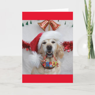 Festlicher Goldener Retriever mit Weihnachten "Woo