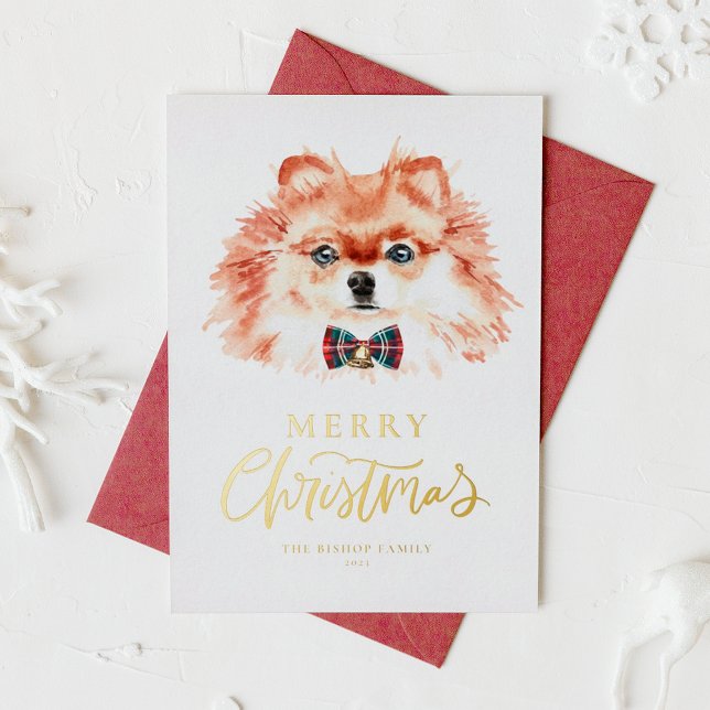 Festlicher Spitz Wasserfarbe Hund Frohe Weihnachte (Von Creator hochgeladen)