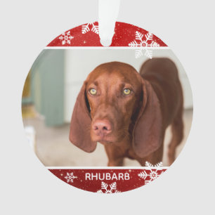 Festliches Rot 2 Foto Hund Weihnachten   Haustier Ornament