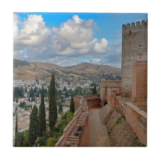Festung Alhambra Granada Spanien Europa Fliese