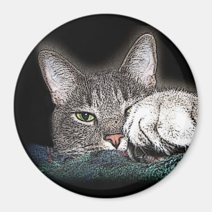 Festus das Bestus Magnet