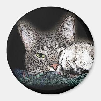 Festus der Bestus Magnet