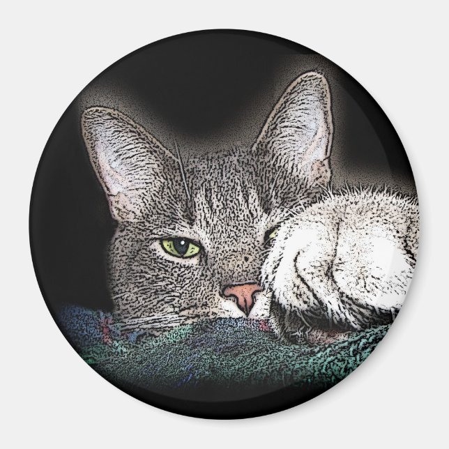 Festus der Bestus Magnet (Vorne)