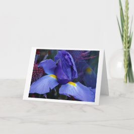 Fett Blue Iris Note Card Set