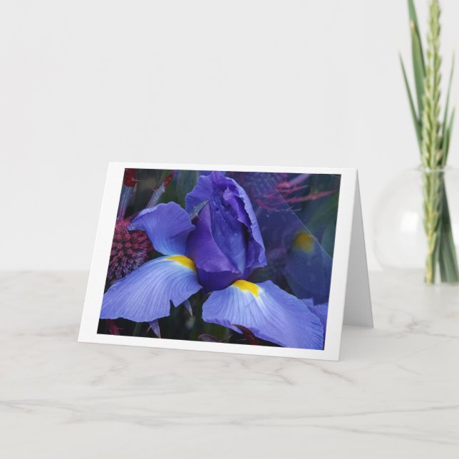 Fett Blue Iris Note Card Set (Vorderseite)