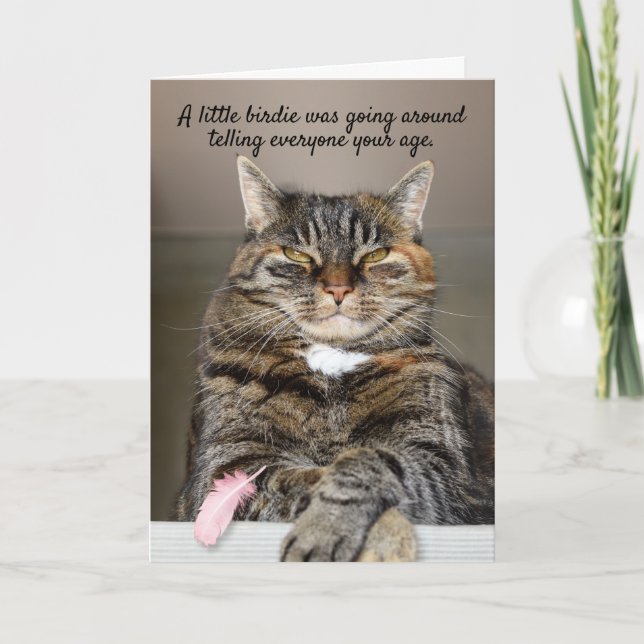 Fett Cat and Little Birdie Funny Birthday Card Karte (Vorderseite)