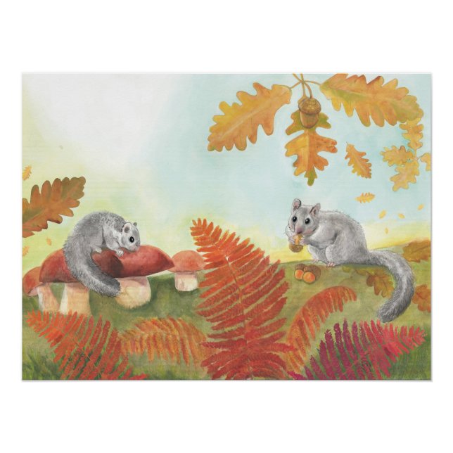 Fett-Dormaus (Glis glis) Poster (Vorderseite)