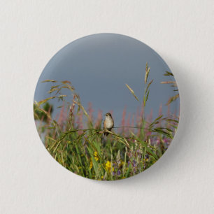 Fett kleiner Hummingbird Button