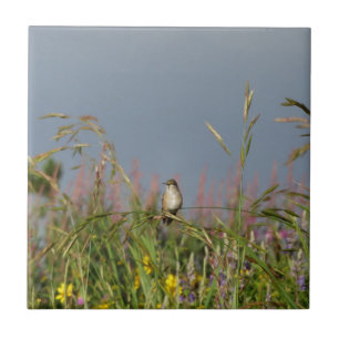 Fett kleiner Hummingbird Fliese