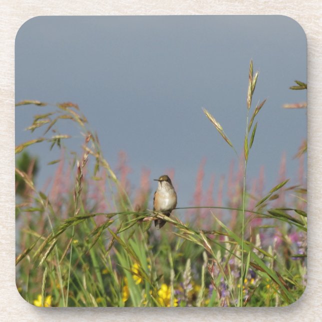 Fett kleiner Hummingbird Getränkeuntersetzer (Vorderseite)