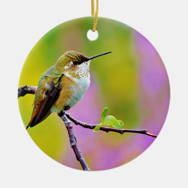 Fett kleiner Hummingbird Keramikornament (Vorne)
