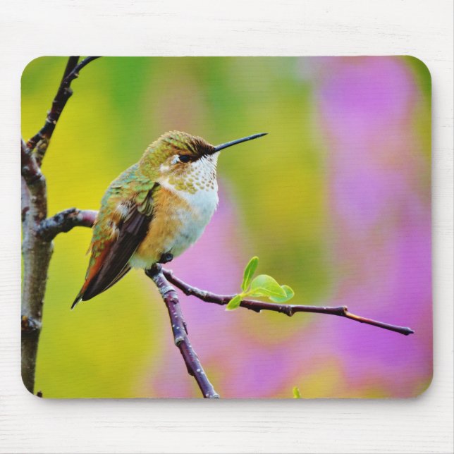 Fett kleiner Hummingbird Mousepad (Vorne)
