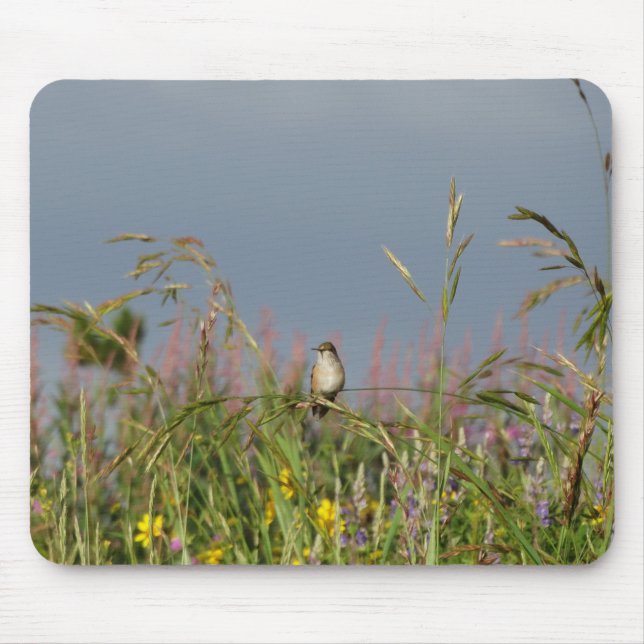 Fett kleiner Hummingbird Mousepad (Vorne)