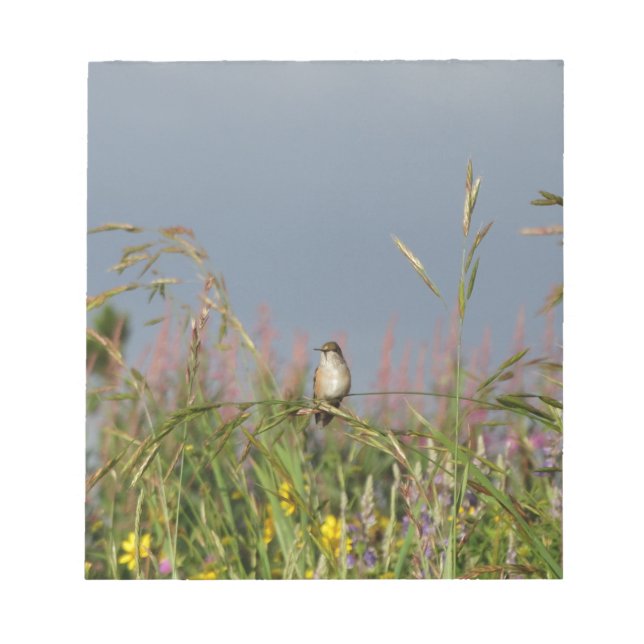 Fett kleiner Hummingbird Notizblock (Vorderseite)