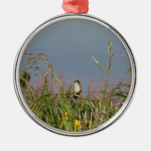 Fett kleiner Hummingbird Ornament Aus Metall