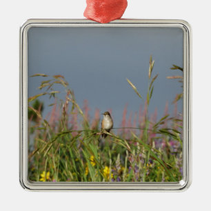 Fett kleiner Hummingbird Silbernes Ornament
