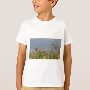 Fett kleiner Hummingbird T-Shirt