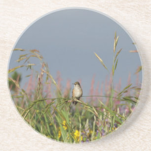 Fett kleiner Hummingbird Untersetzer