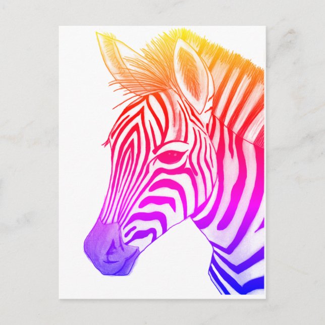 Fett und farbig zeichnend Zebra Postkarte (Vorderseite)