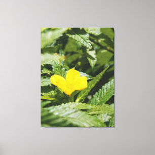 Fette gelbe Blume zwischen grünen Blättern Leinwanddruck