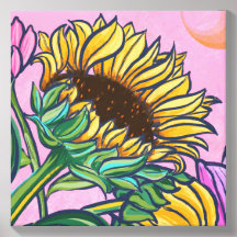 Fette gelbe Sommer-Sonnenblume, die nach oben scha