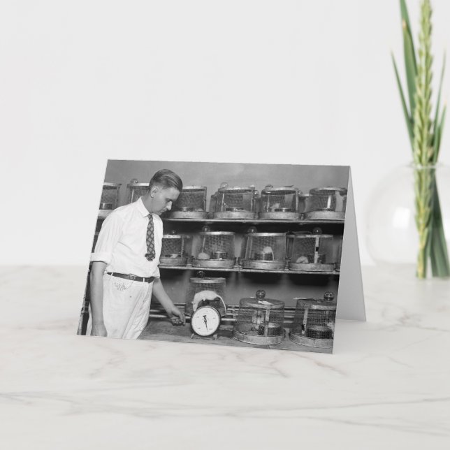 Fette Ratte, Zwanzigerjahre Karte (Vorderseite)