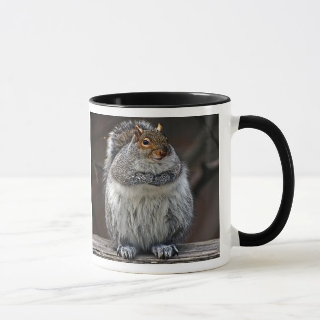 Fettes Eichhörnchen "got Nüsse?" Tasse (Rechts)