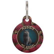 Fettgedrucktes individuelles Haustier-Themen-Gesch