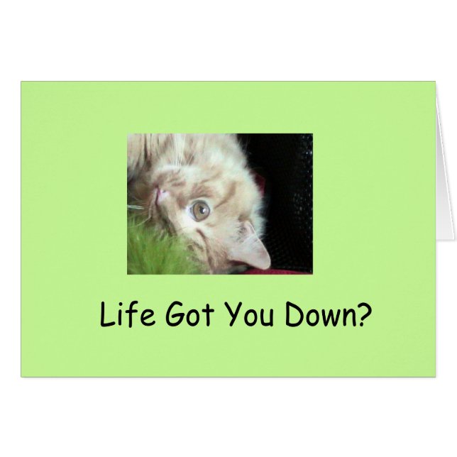 Fetthaltige Pelztatsachen (Vorderseite (Horizontal))