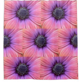 Fettrosa und Orange Daisies Duschvorhang