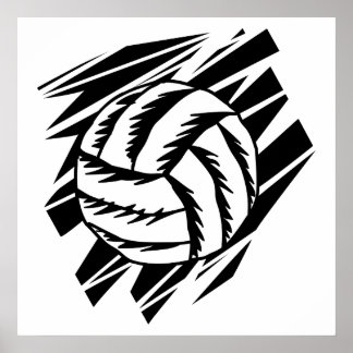 Fettvolleyball Poster