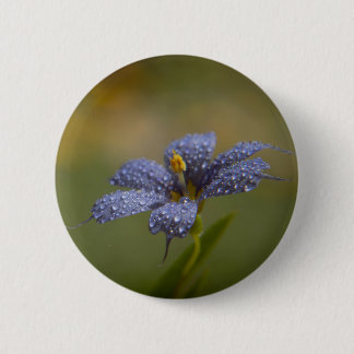 Feuchte Blaue Augen Button