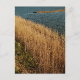 Feuchtgebiete, Essex, England - Postcard Postkarte