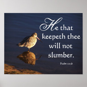 Feuchtgebiete Godwit Bird God Behalte Ihnen Poster