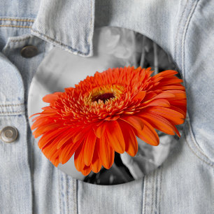 Feuer auf Blättern Button