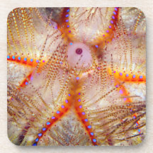 Feuer-Bengel-harte PlastikUntersetzer (Set von 6)