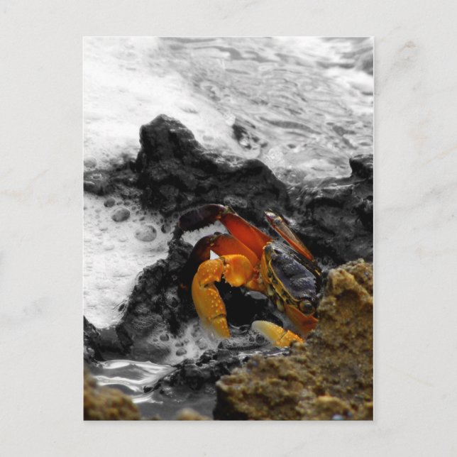 Feuer im Meer Postkarte (Vorderseite)