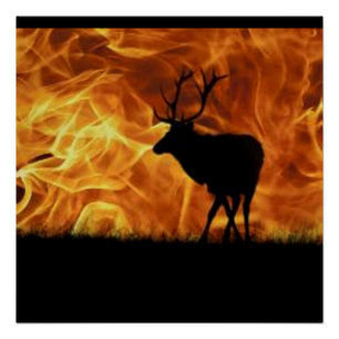 Feuer in der Karibik-Himmel-Silhouette Poster
