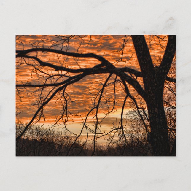 Feuer in der Wintermorgendlichen Himmel Postkarte (Vorderseite)