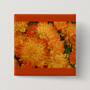 Feuer Orange Chrysanthemas Button